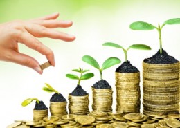 Investitionsberatung