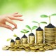 Investitionsberatung